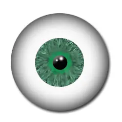 25 curiosidades del ojo humano