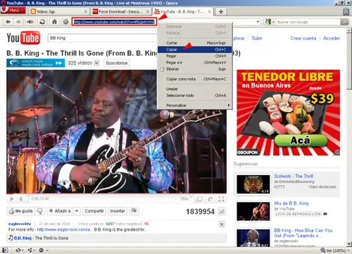 Bajar videos de youtube sin necesidad de instalar programas