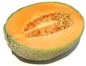 El melón