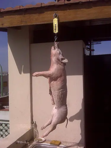 Como hacer un asado al palo.