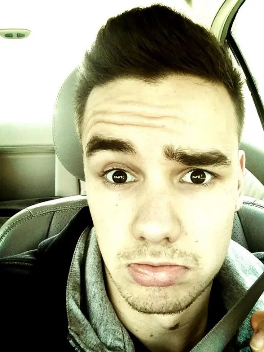 1D:Liam Payne Apartado del Grupo
