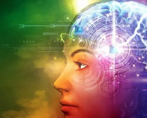 Cómo hackear al Cerebro