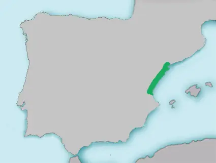 la comunidad más corrupta de España