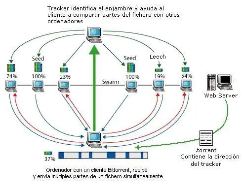 Uso del torrent