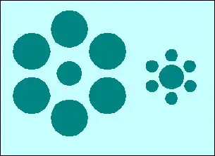 ¿nos engañan los ojos y el cerebro?