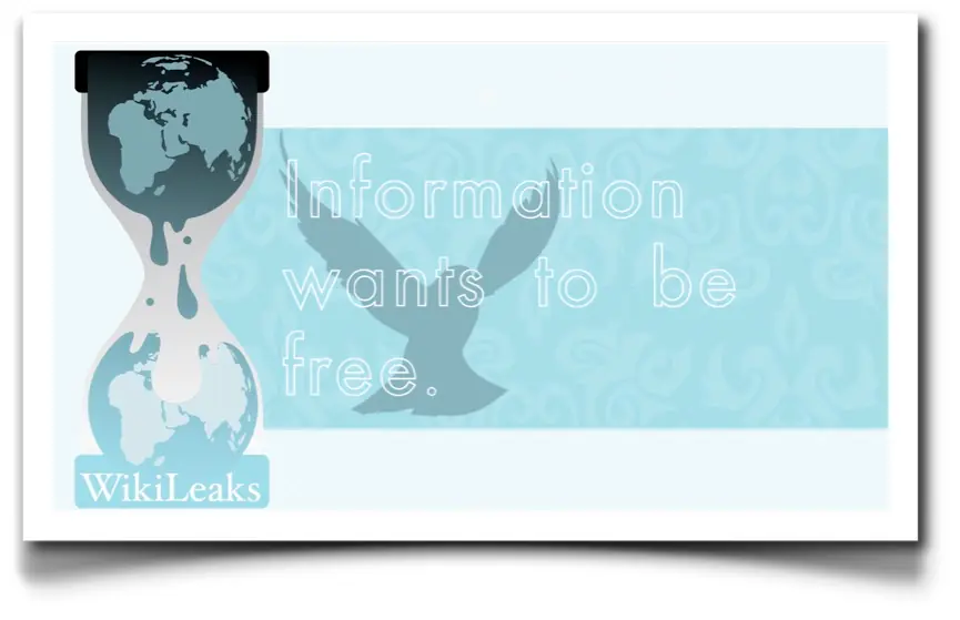 Toda la verdad sobre Wikileaks y Anonymous.