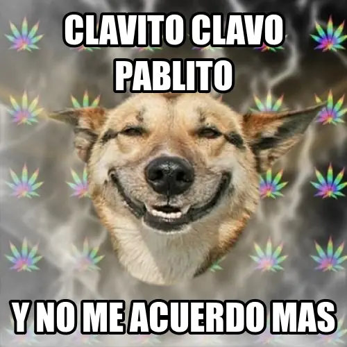 Si fumás 1 o 100 porros diarios, igual te da cancer