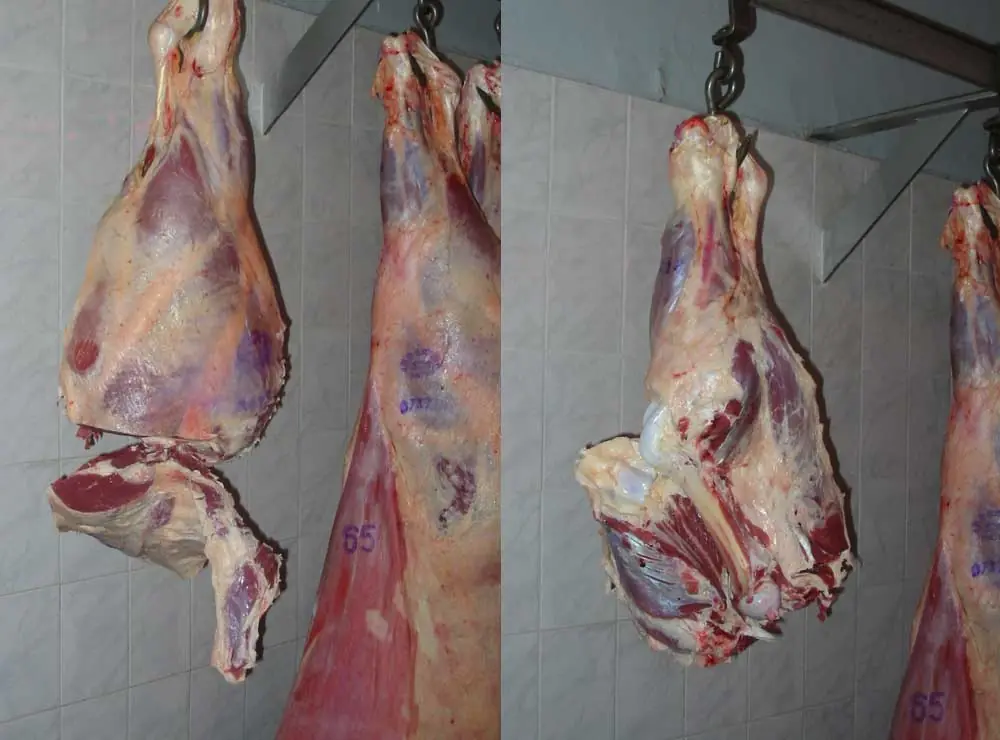 Pernil o pata de ternera flambeada.