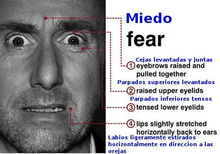 Lenguaje corporal ¡megapost!