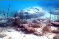 NASA busca en México vida extraterrestre