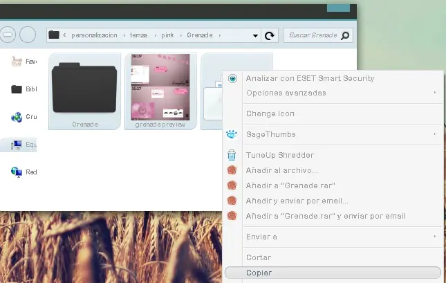 theme