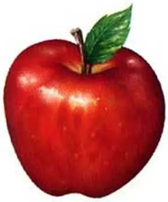 La evolucion explicada con manzanas