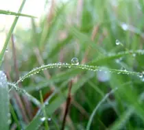 ¿Por qué .. ? (Megapost)