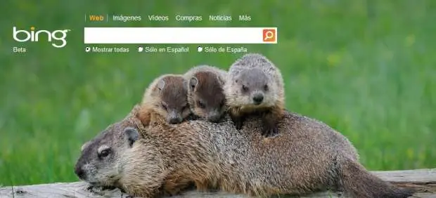 Nueva Guerra : Google vs Microsoft