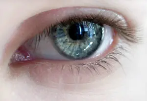 Tutoriales Photoshop