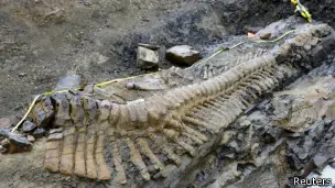 Hallan cola de dinosaurio de 72 millones de años
