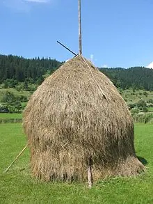 armado armado
