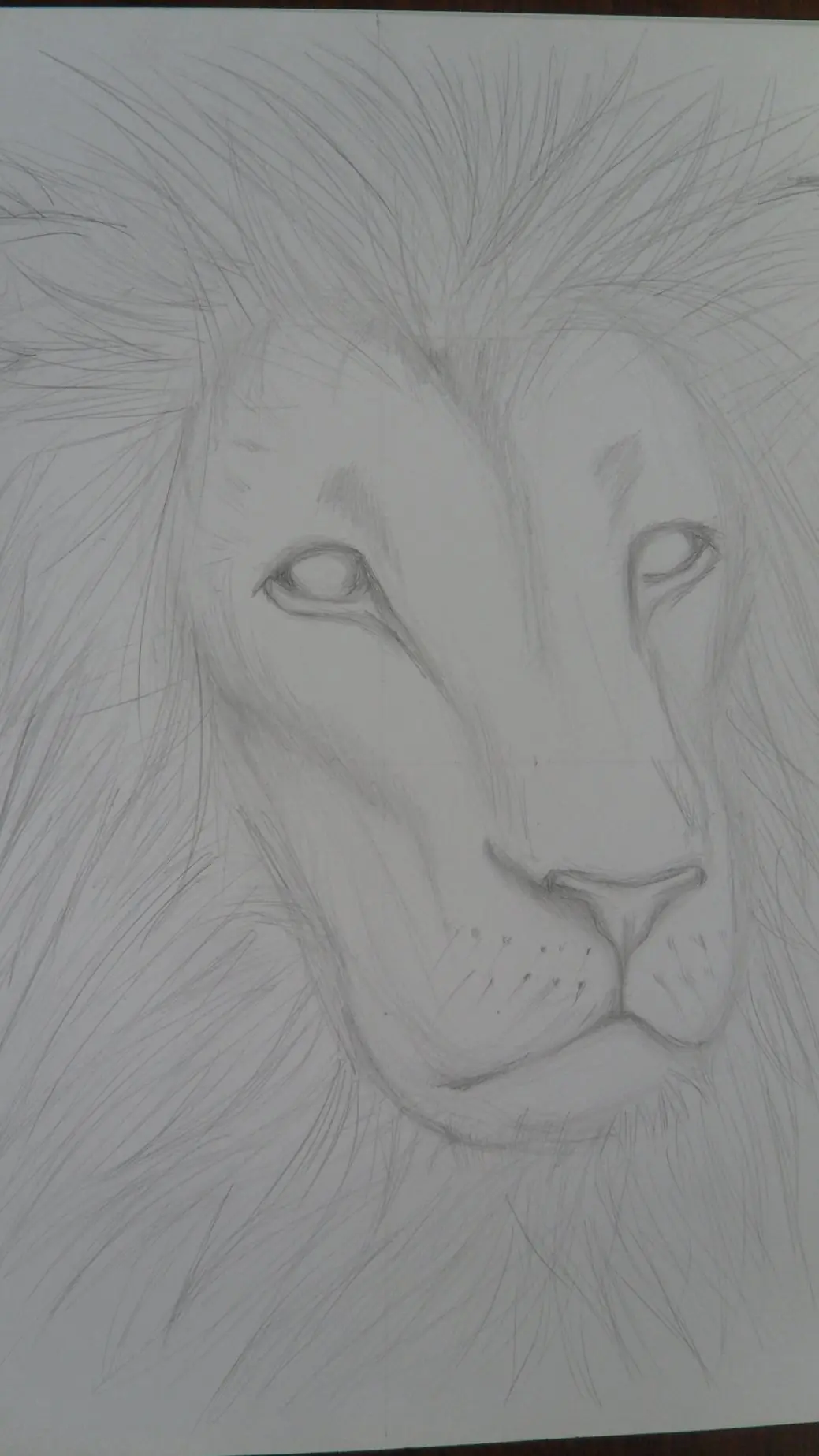 Dibujando un Leon a lapiz