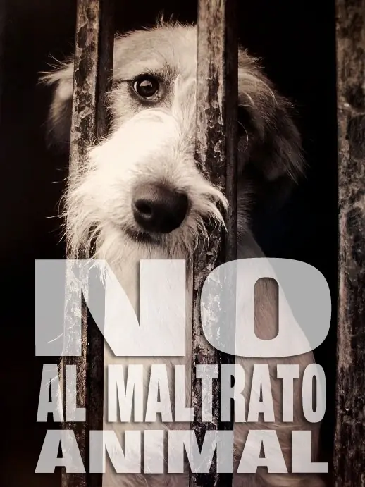 historia detrás de un abandono(la verdad)