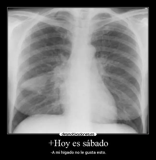 ¿Saben que dia es hoy?