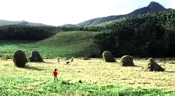 agricultura agricultura