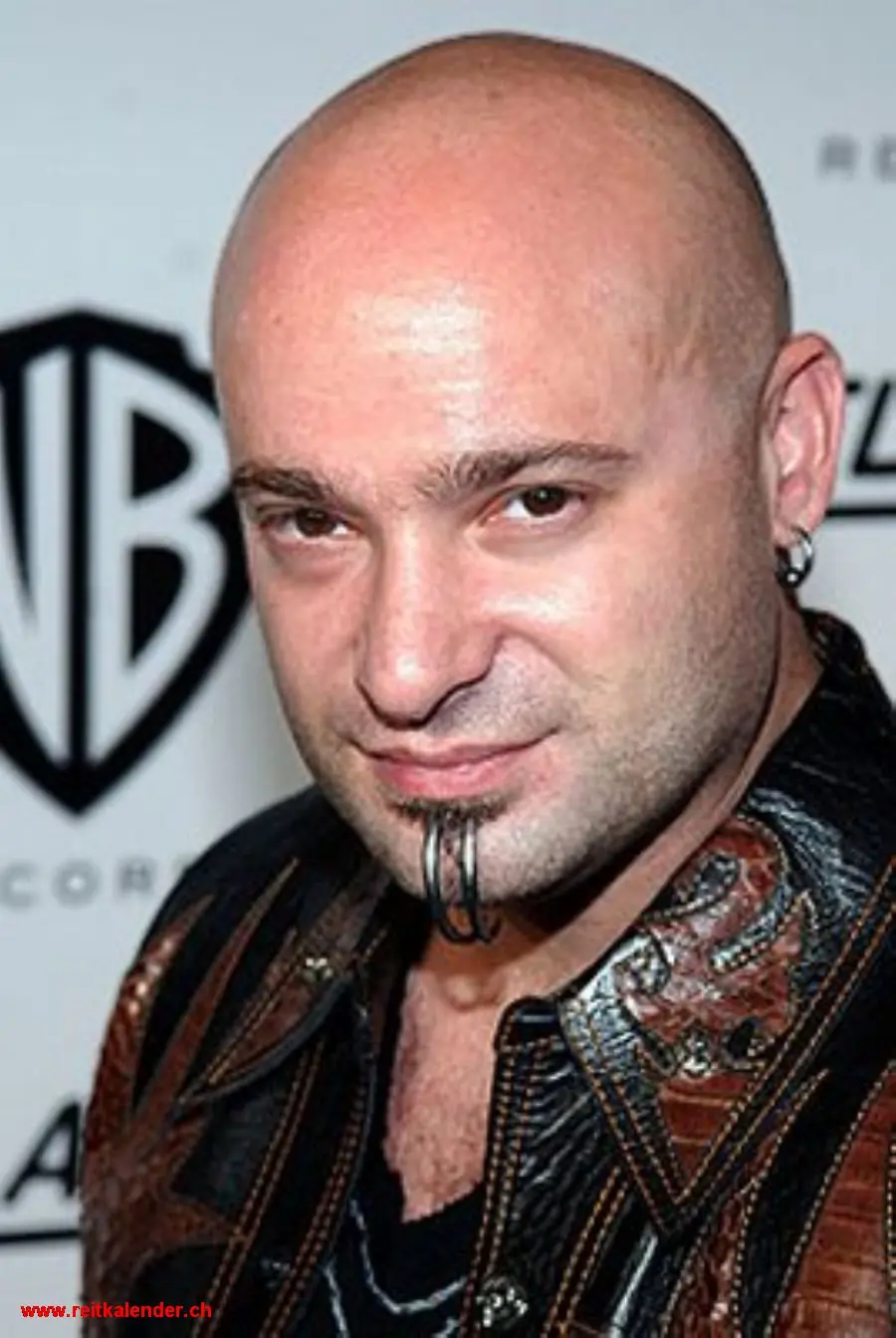 Info de Disturbed