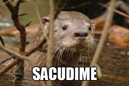 Trolleando a una conductora de TV española