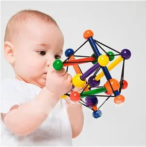 Alimentacion Neuronal