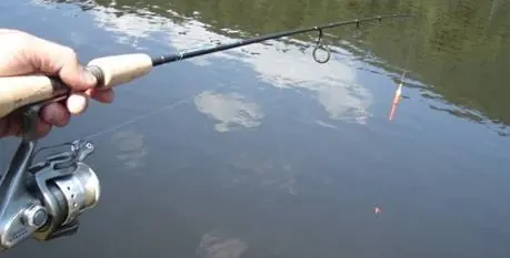 Estilos De Pesca (Spinning, Bait Cast, Fly Cast y Trolling)