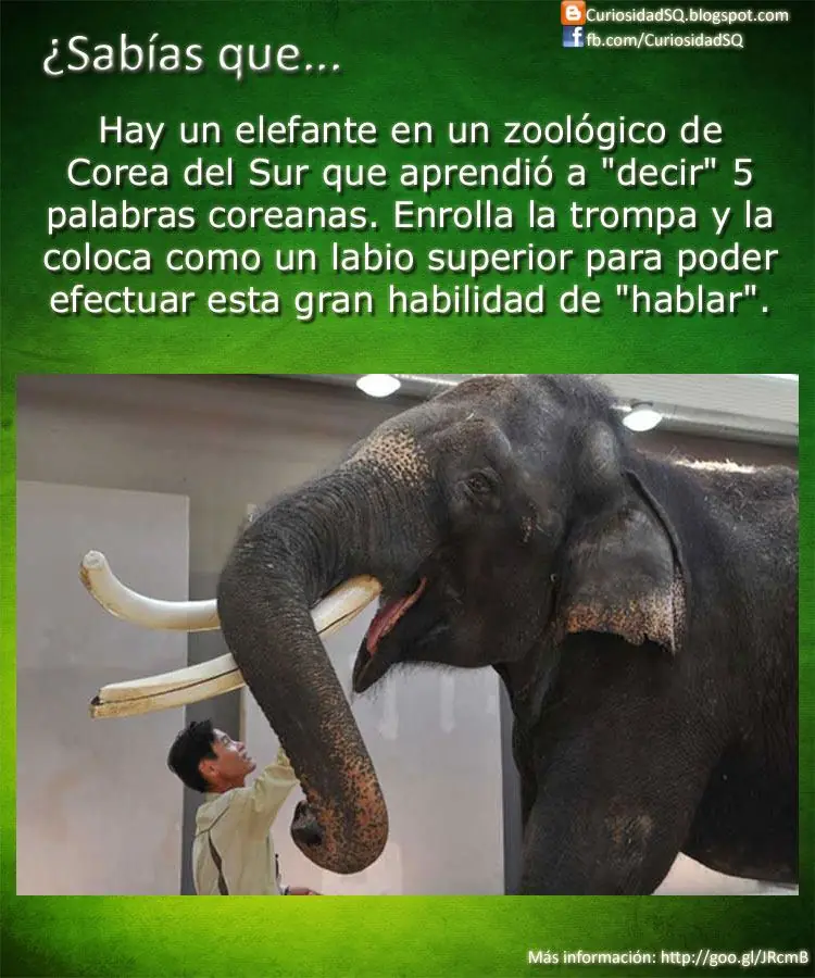 ciencia