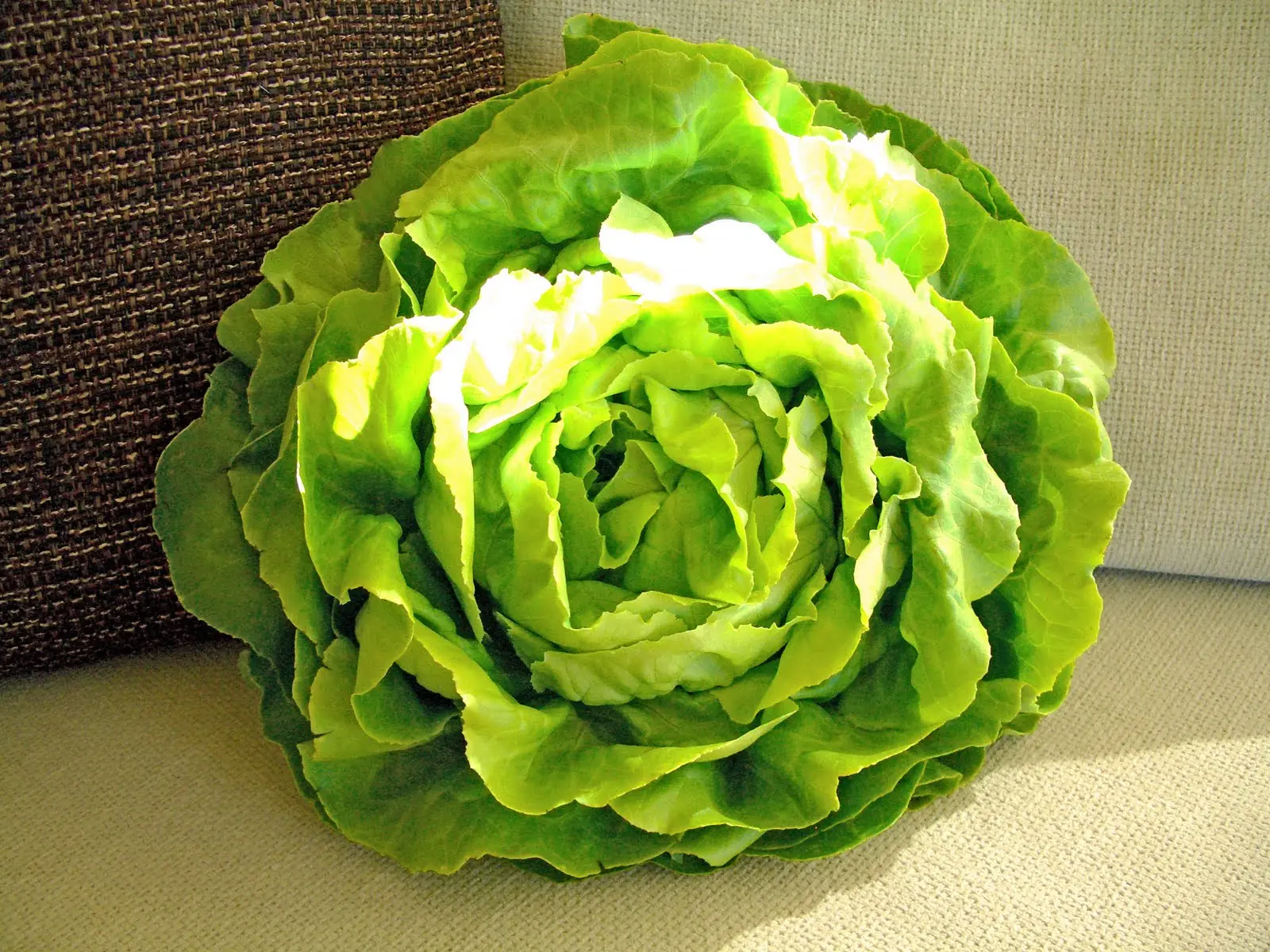 Conocé el Top 2012 de Vegetales cargados de pesticidas