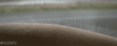 Te cuento una anécdota que me traumo