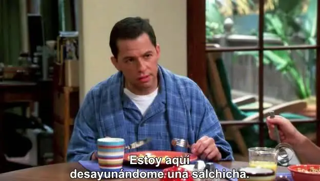 Two And A Half Men Temporadas 1, 2, 3, 4, 5, 6, 7 y 8