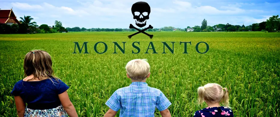 Monsanto nos envenena