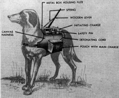 Los Perros en la Segunda Guerra Mundial