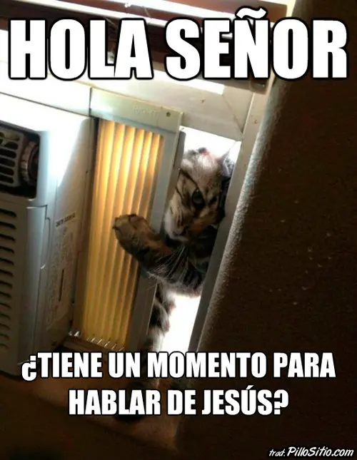Estaba cansado de los testigos de Jehová y mira lo que hizo