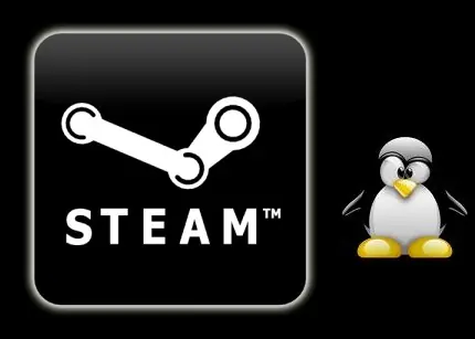 Steam para Linux ya está en fase beta a nivel interno