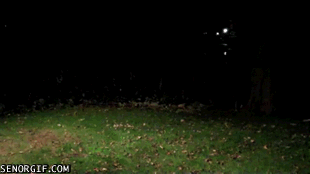 Personas que tienen un dia peor que el tuyo(gifs)actualizado