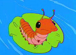 Que no te chamuyen mas... Esta es la verdad