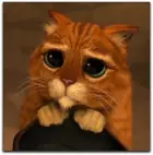 Bromas que tenes que probar para el dia de los inocentes!