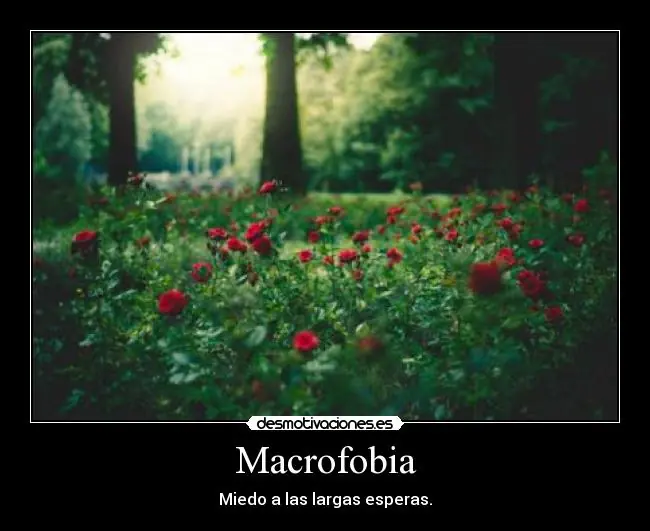 Pasate y conoce las diez fobias mas extrañas