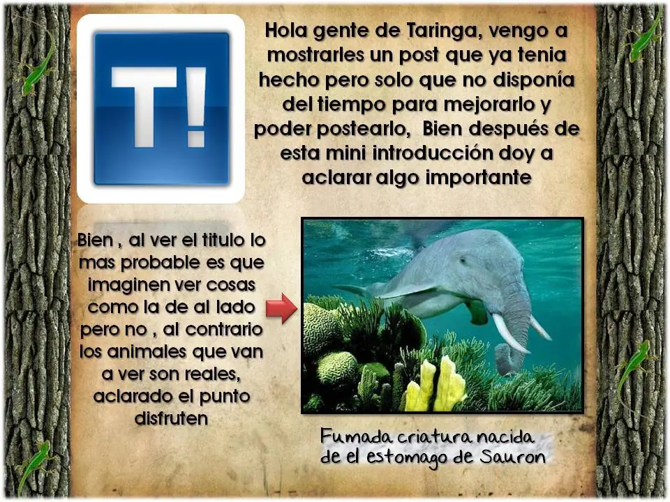 Animales Excepcionales [5 animales]