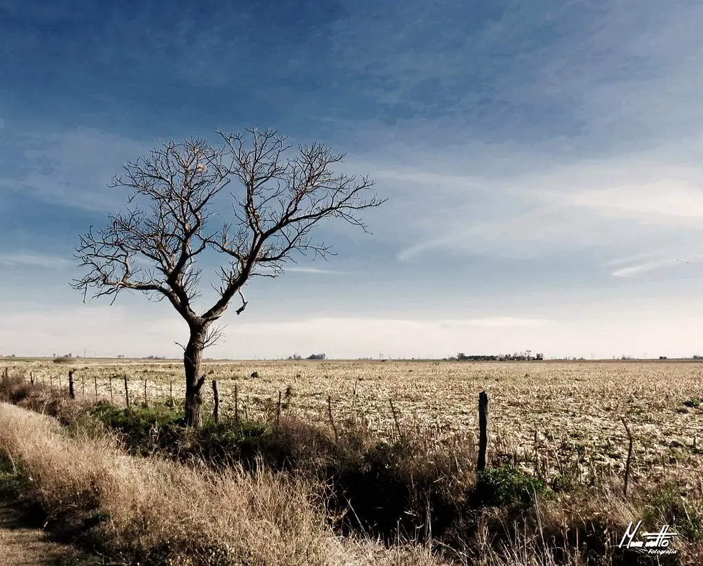 Fotografias de domingos por la tarde