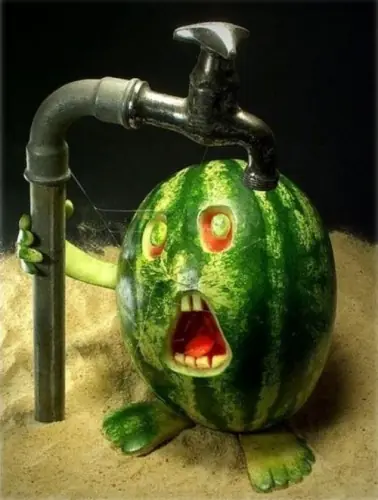 Arte Con Frutas Muy Divertido :-) :-) :-) :-) :-) :-) :-)