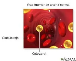 La verdad sobre las claras de huevo