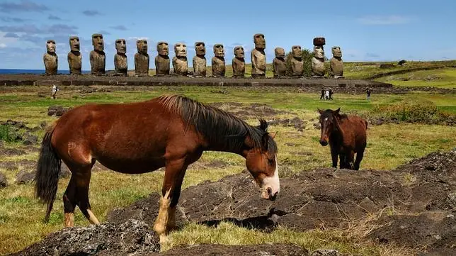 Isla de Pascua: La atracción de los misterios sin resolver