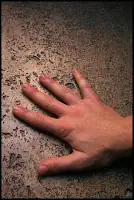 El tacto, un sentido que nos hace lentos