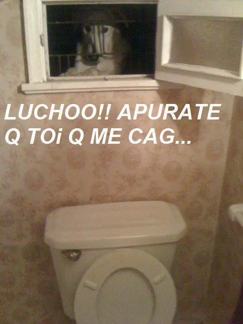 gracia