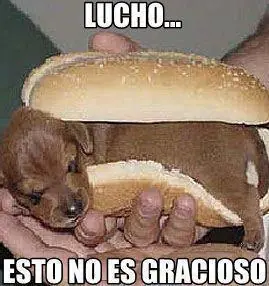 humor