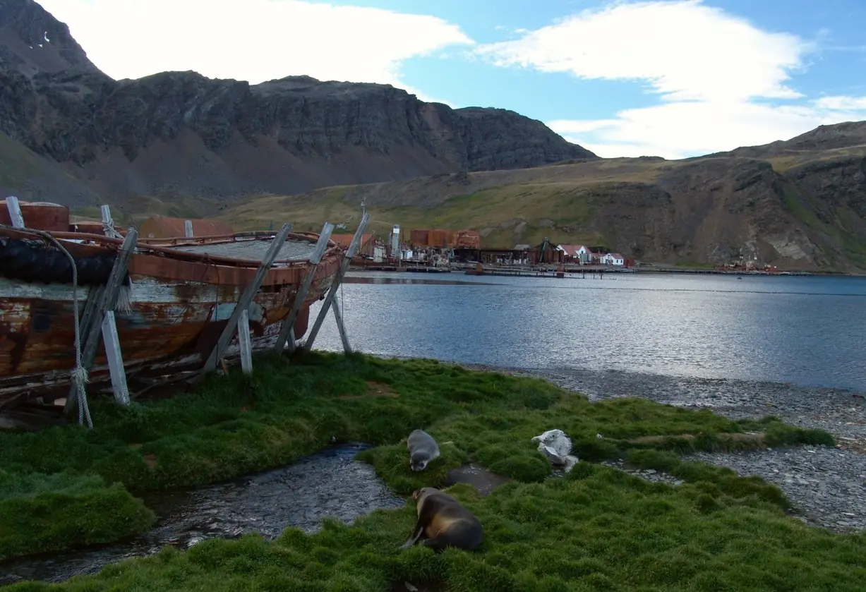 La batalla por Grytviken